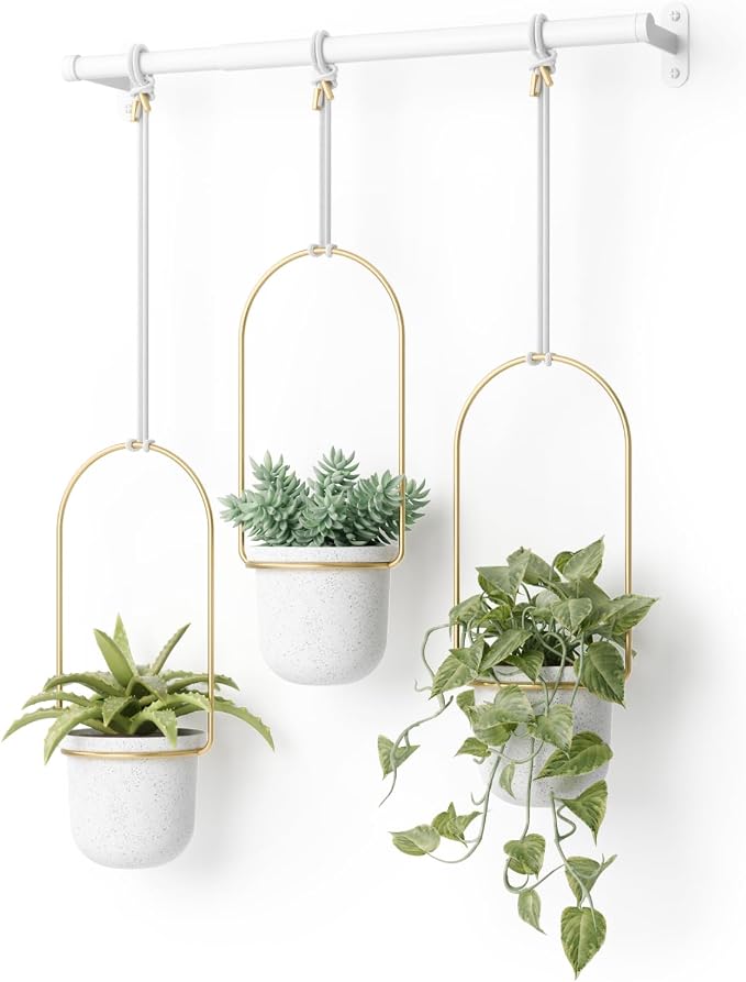 Umbra Triflora Hanging Planter, Indoor Herb Garden, Set of 3, White/Brass