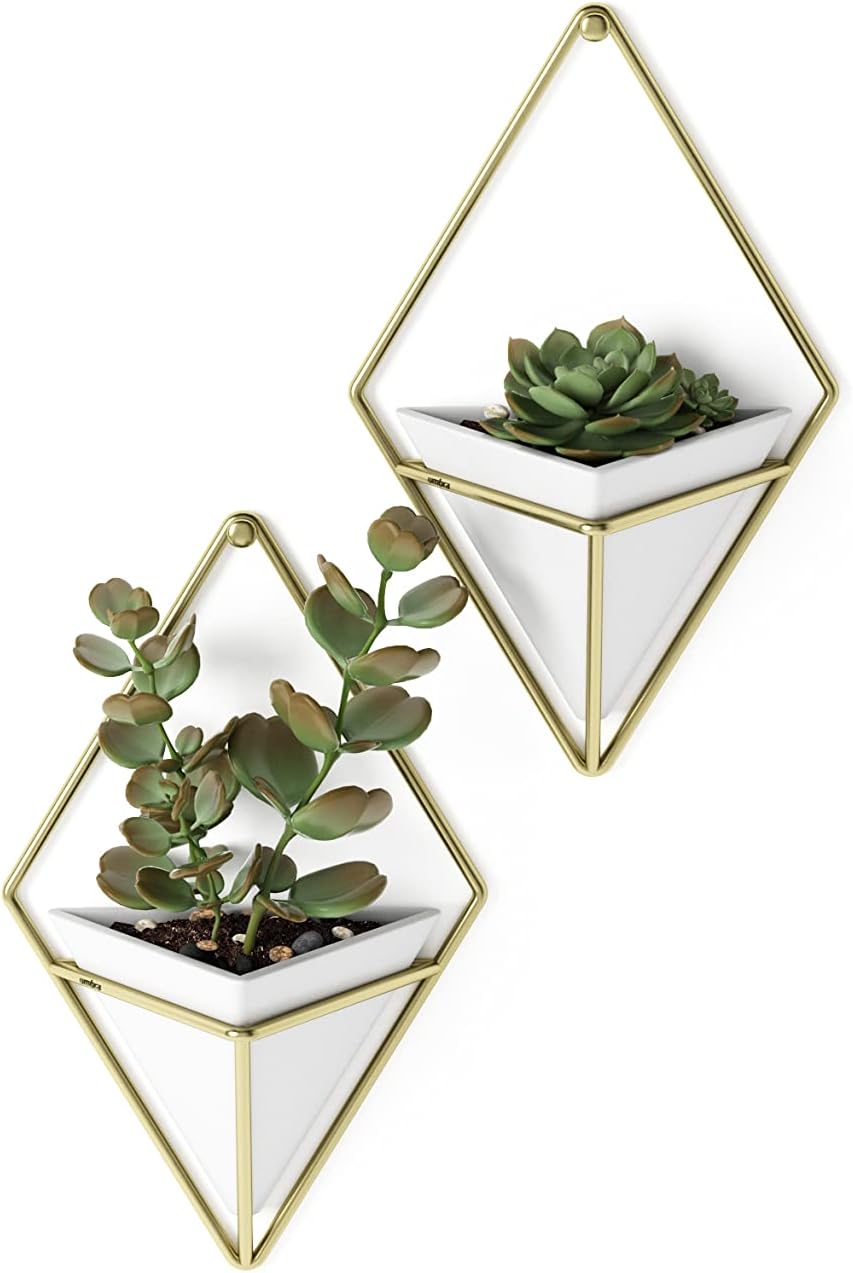 Umbra Trigg Hanging Planter for Small Plants, Set of 2, Small, White/Brass